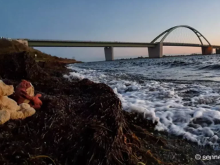 Zwei Freunde auf Fehmarn - an Erinnerung an meinen Marvin