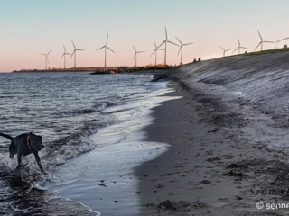 Yuma und Ostsee - so viel Platz zum Schwimmen