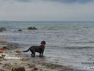 Wo schwimme ich heute hin ;-)