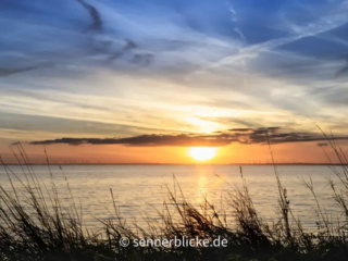 Fehmarn mein Paradies - bei Ferienresidenz Staberhuk